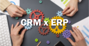 crm_erp_diferenças